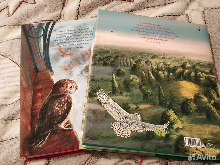 Гарри Поттер и философский камень Джим Кей