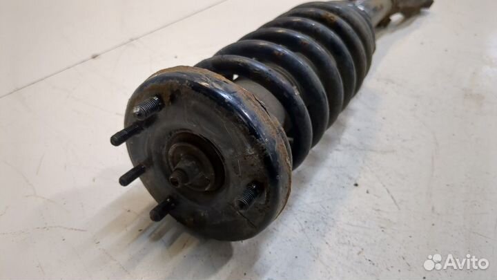 Амортизатор подвески Honda Accord 7, 2004