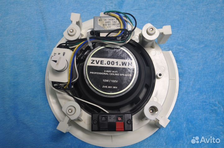 Потолочный динамик