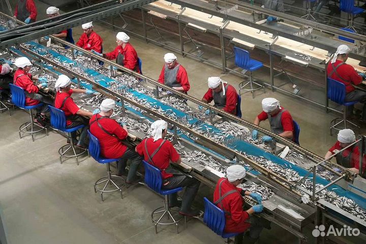 Обработка морепродуктов/Вахта/Москва