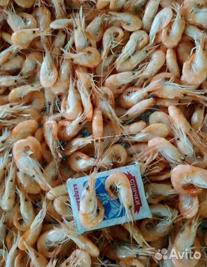 Креветка свежемороженная