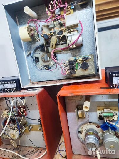 Инкубатор петушок