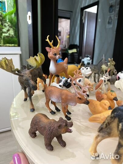 Коллекция домашних и диких животных