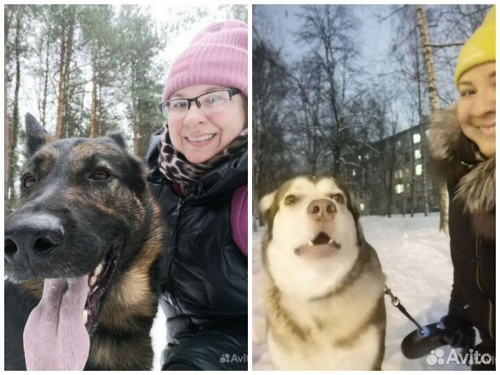 Выгул собак Выгульщик Удельная