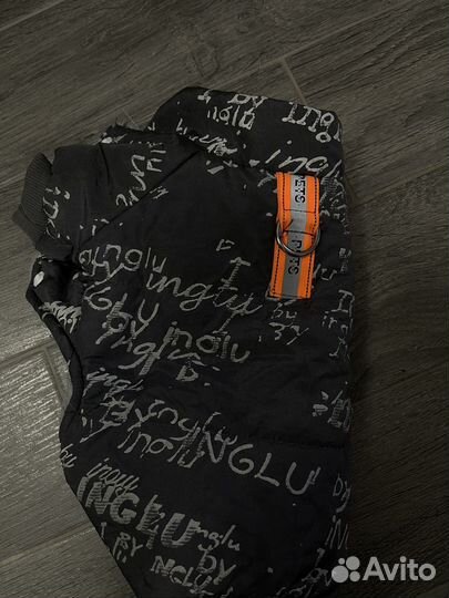 Одежда для собак