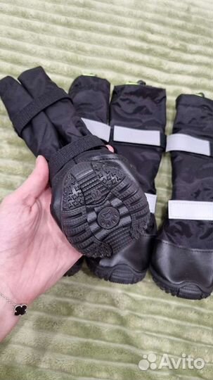 Ботинки для собак