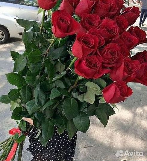 Высокие Розы с Доставкой