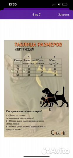 Одежда для собак и кошек