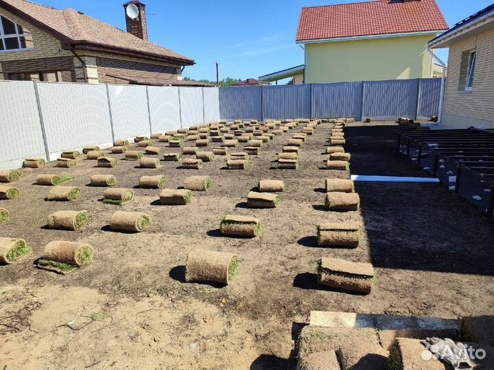 Семена посевного газона, Рулонный газон