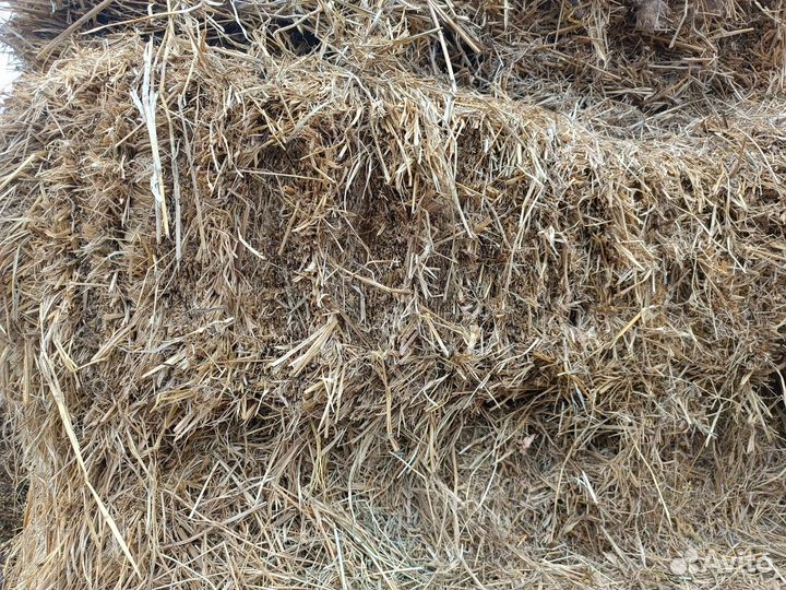 Сено солома в тюках