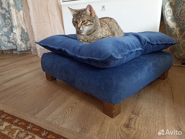 Передержка собак,кошек,птиц,грызунов в частном дом