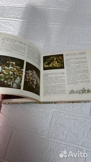 Иллюстрированное пособие для биологов. Минск 1978