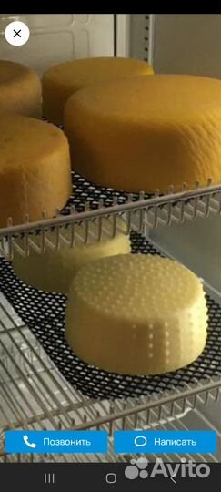 Сыр Ламбер Российский.Фермерский домашний