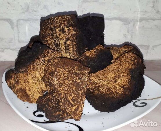 Чага березовая