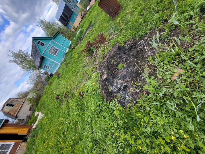 Дача 32,7 м² на участке 8 сот.