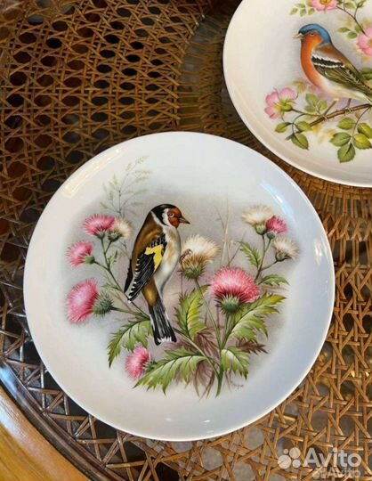 Настенная тарелка птицы kaiser