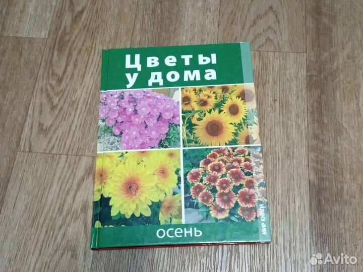 Книга Цветы у дома