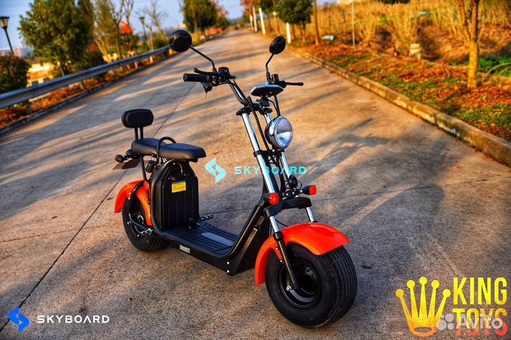 Электроскутер Citycoco SkyBoard BR20-2WD