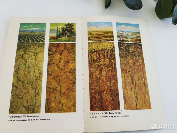 Книга СССР Рассказы о почве