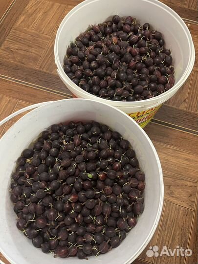 Ягоды крыжовника