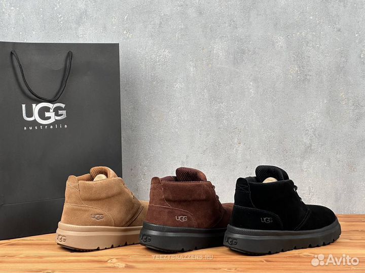 Мужские Ugg Mens Burleigh Chukka + 3 расцветки