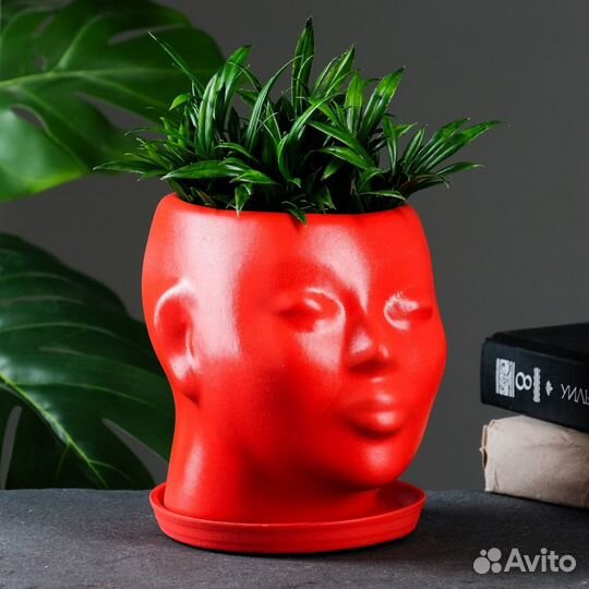 Кашпо - органайзер 