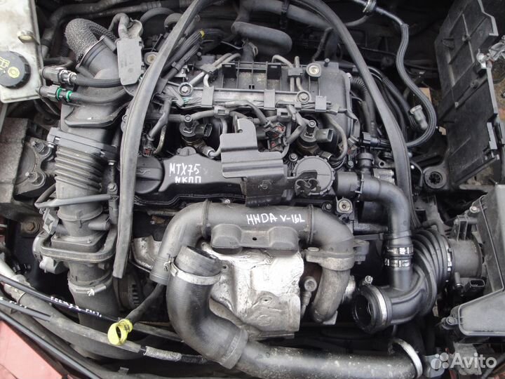 Двигатель hhda Ford Focus 2 V-1.6L TDCi