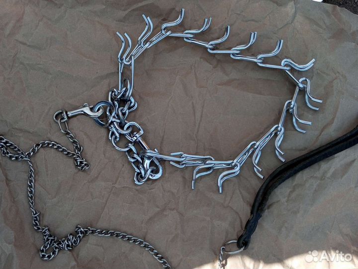 Поводок для собак