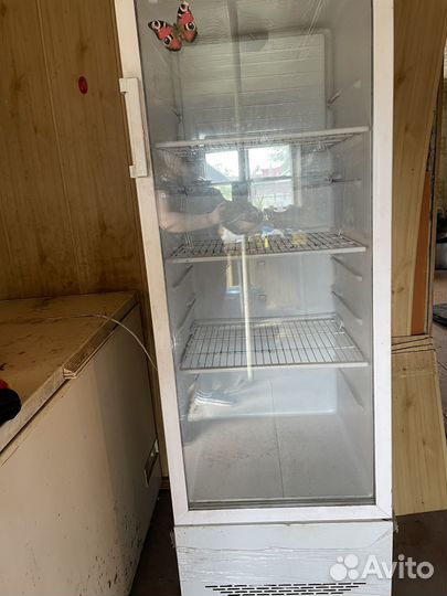 Витрина холодильник