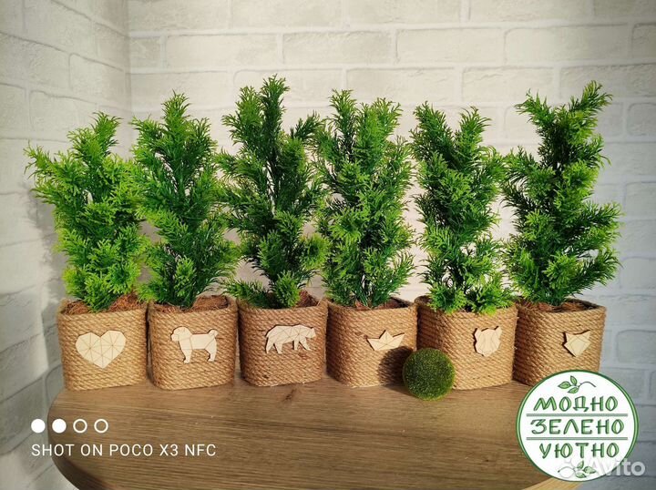 Искусственная зелень в кашпо туя папоротник бонсай