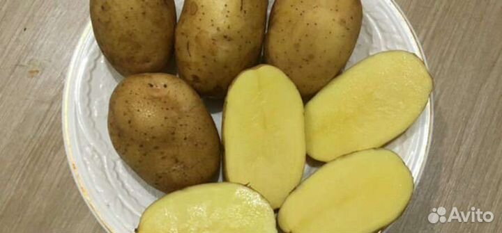 Картофель средний