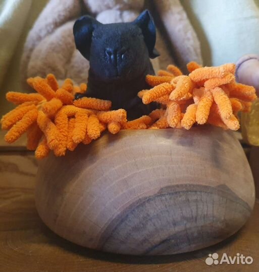 Морская свинка Скинни