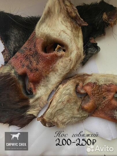 Сухие лакомства для собак