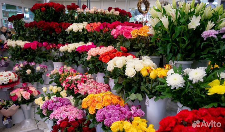 Магазин цветов
