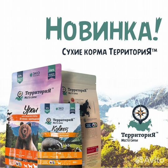 Корм для кошек и собак