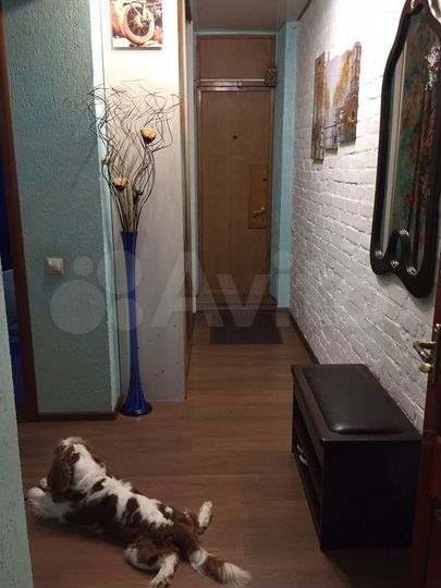 3-к. квартира, 58,6 м², 2/3 эт.