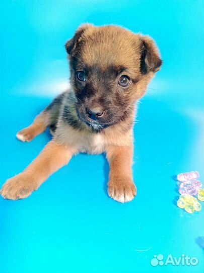 Лялька 2 месяца