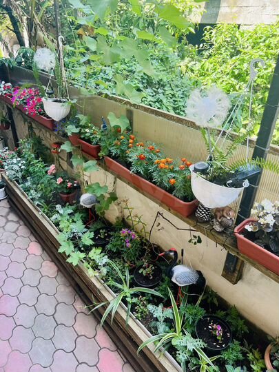 Комната 20 м² в 4-к., 1/3 эт.