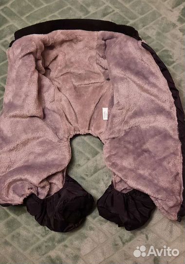 Одежда для собак