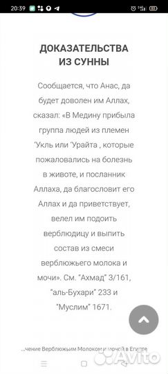 Верблюжье молоко, шубат, урина (моча)