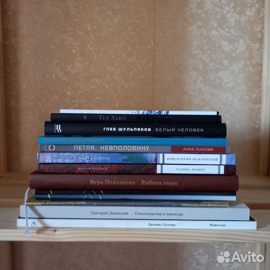 Современная поэзия