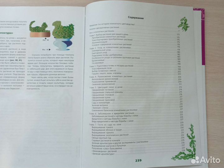 Энциклопедия комнатных растений