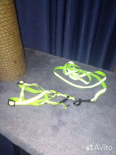 Шлейка для кошки или маленькой собаки