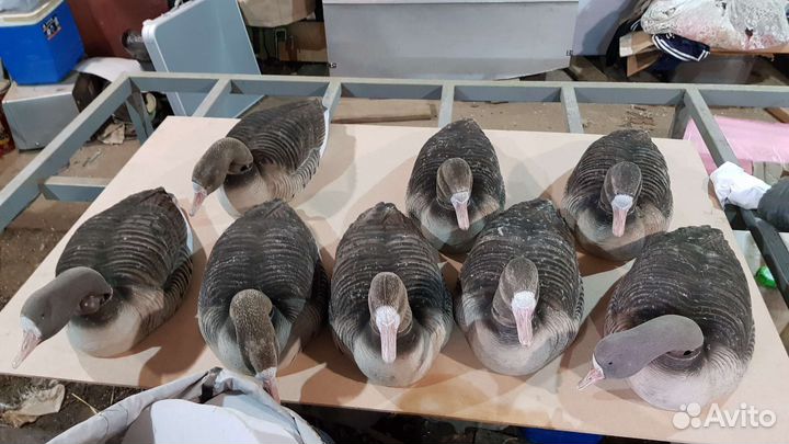 Чучела гусей флоковые Greenhead Gear