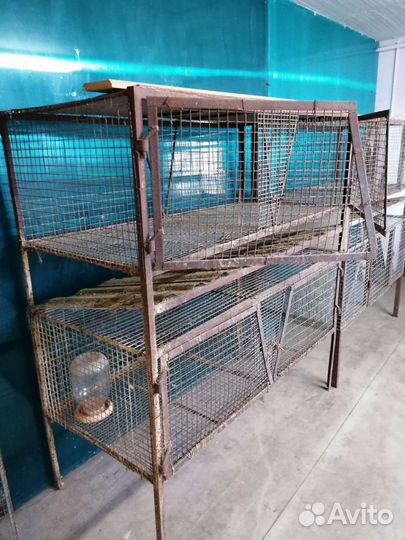 Клетки для кроликов и маточники