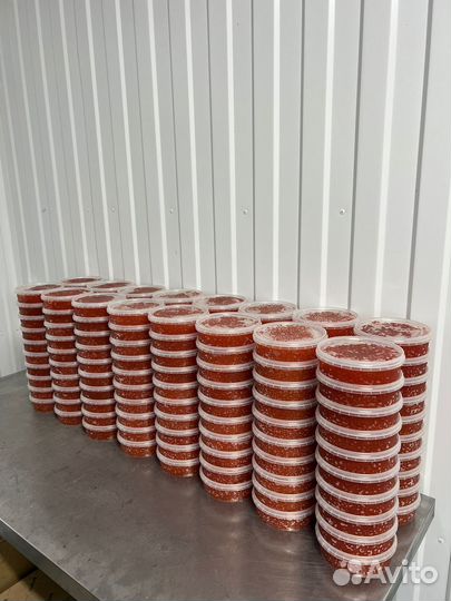 Красная икра улов 2023 года