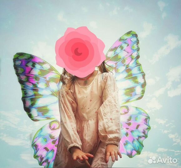 Крылья феи (аренда)