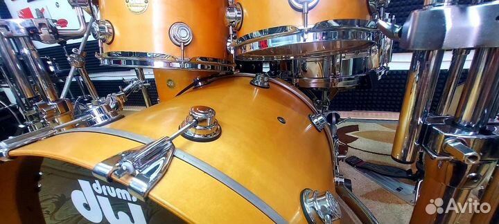 DW collectors maple