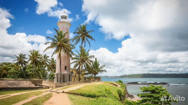 Путешествие на Шри-Ланку от 1-го чел