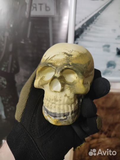 Череп из гипса, камуфляж